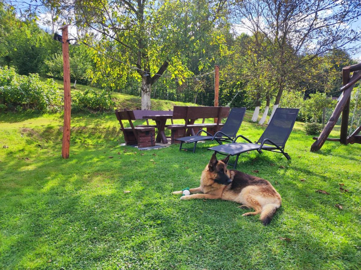 Dom Kowala Villa Jankowce Dış mekan fotoğraf