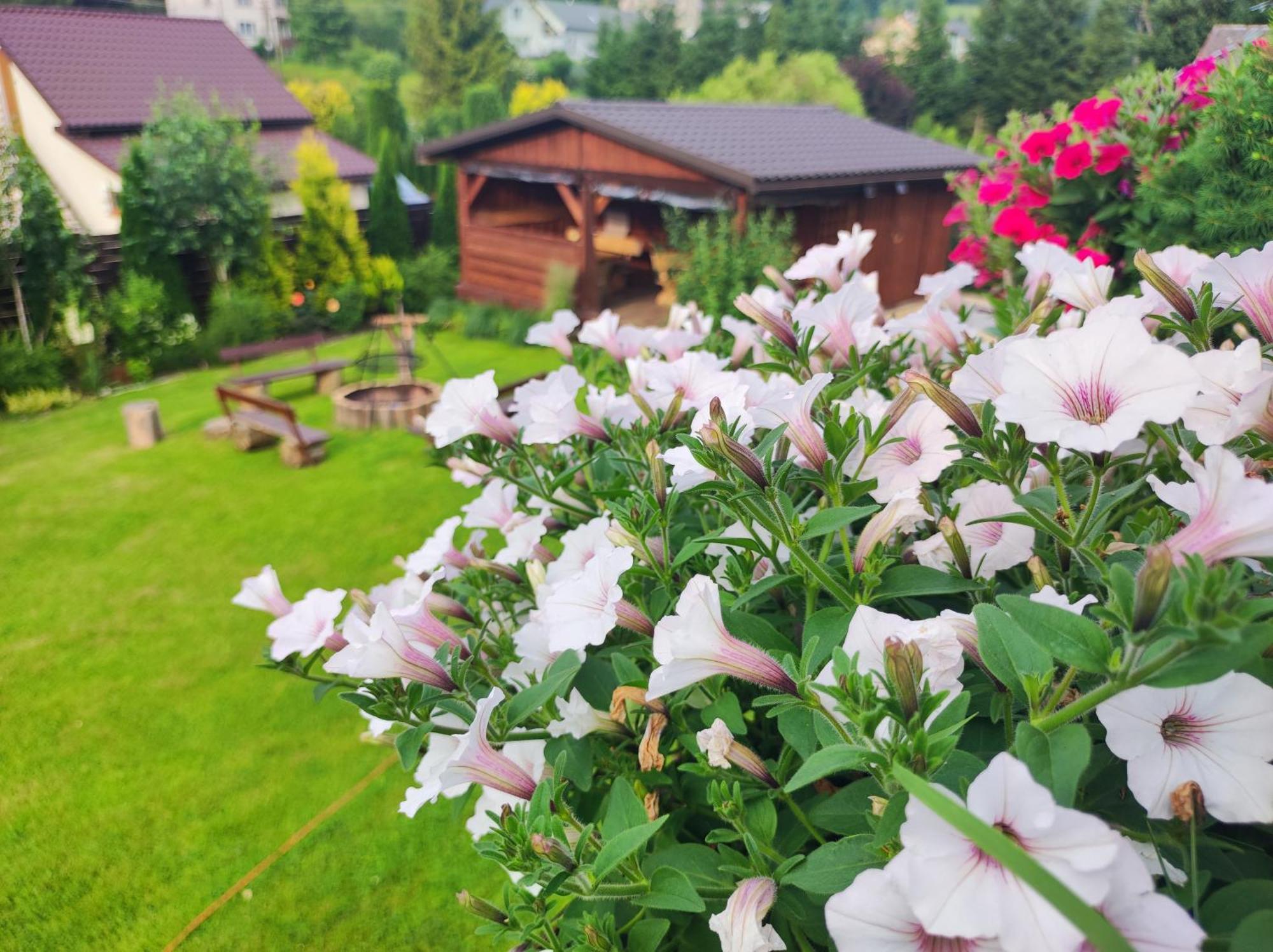 Dom Kowala Villa Jankowce Dış mekan fotoğraf