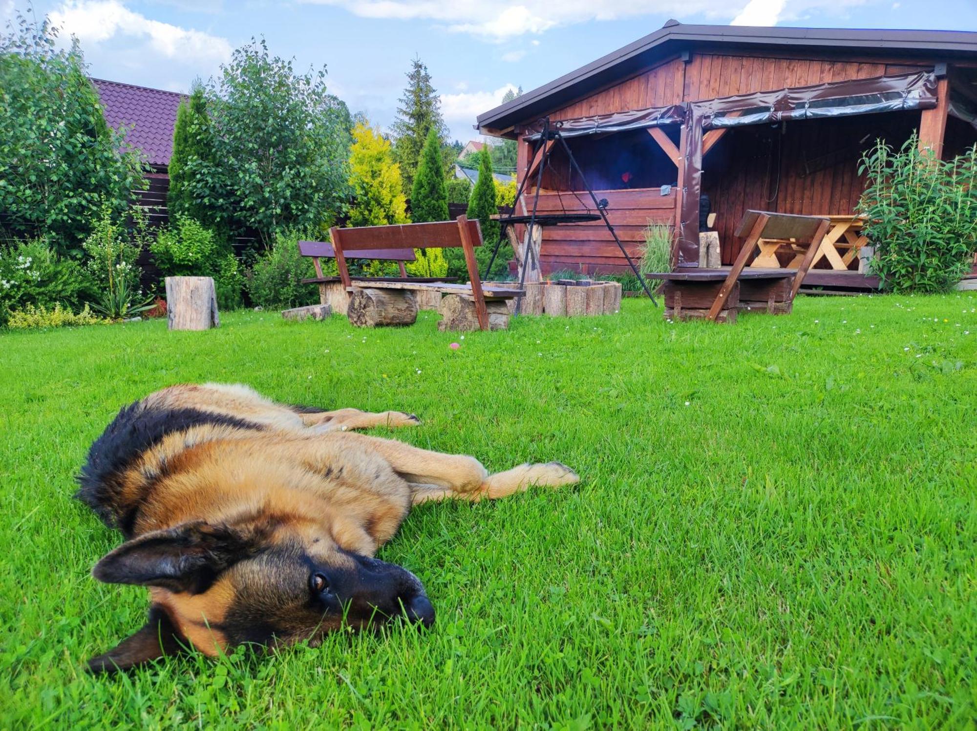 Dom Kowala Villa Jankowce Dış mekan fotoğraf